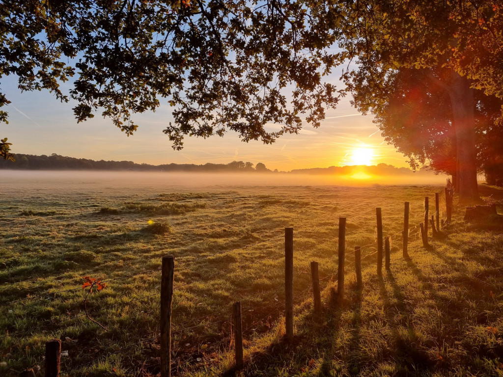 Opnieuw buigen voor de herfst, opnieuw buigen voor wat komen gaat